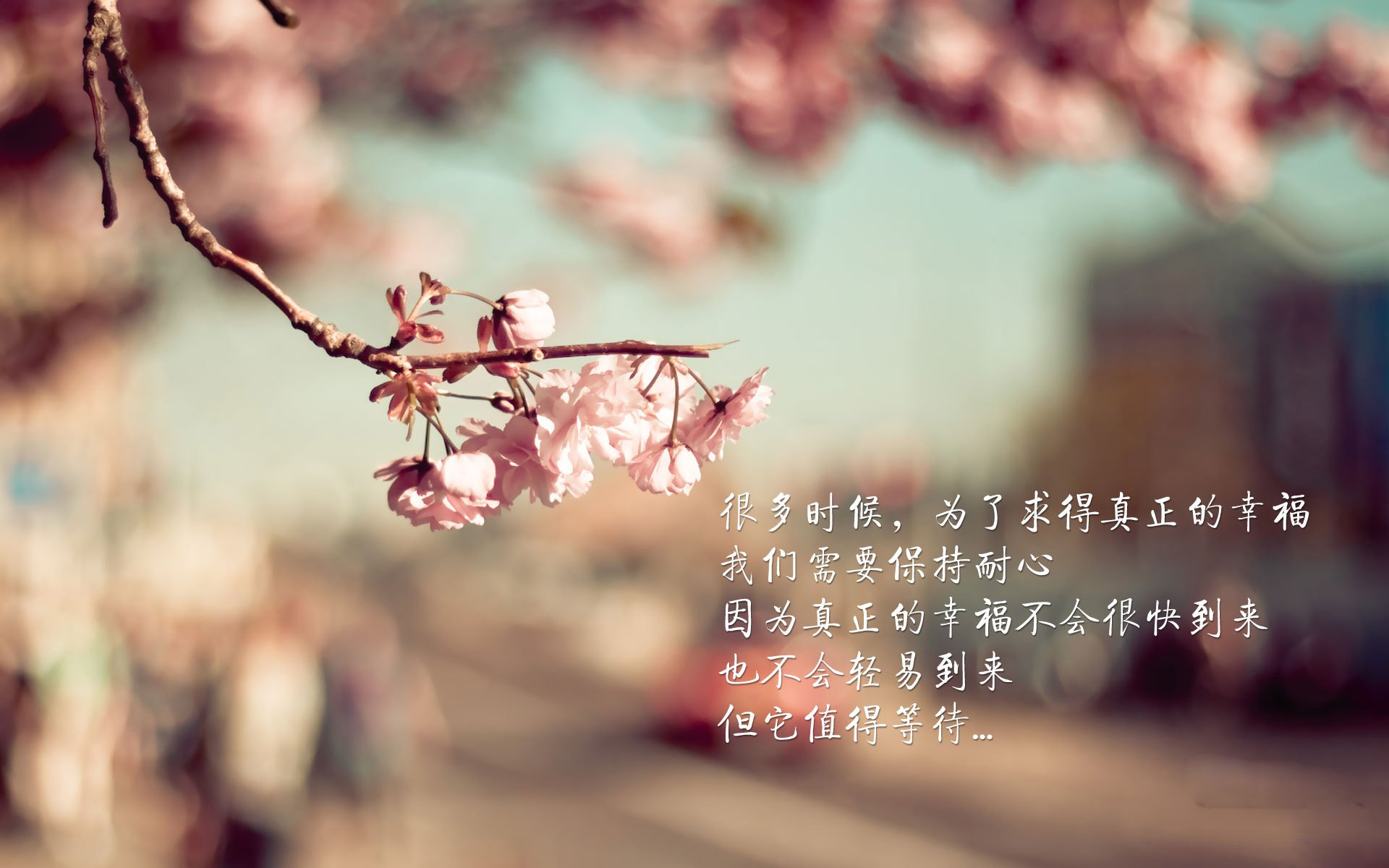 爱游戏体育平台-篮球职业联赛赛场视频回放技术升级，篮球比赛视频2020