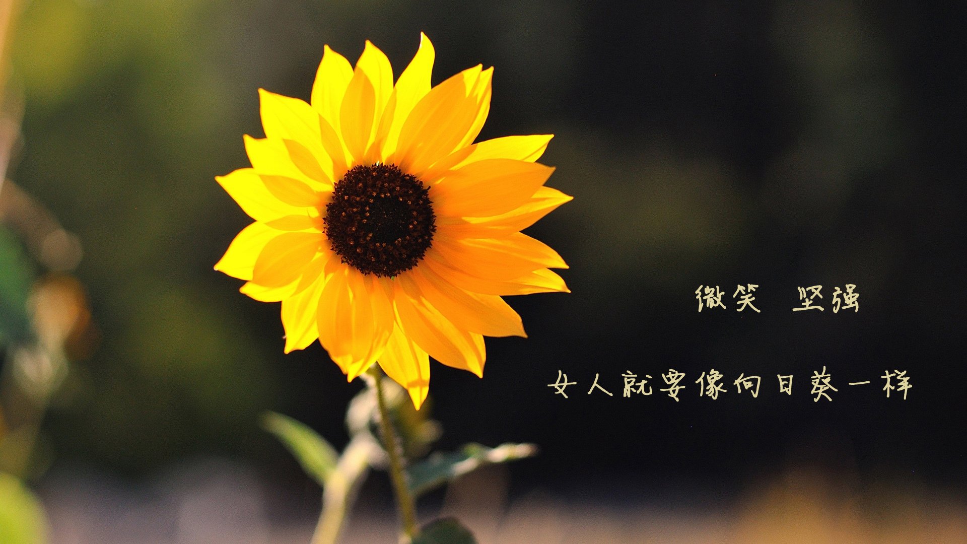 爱游戏体育app-皇马绝地反击，豪取连胜强势逆袭，皇马经典反击视频