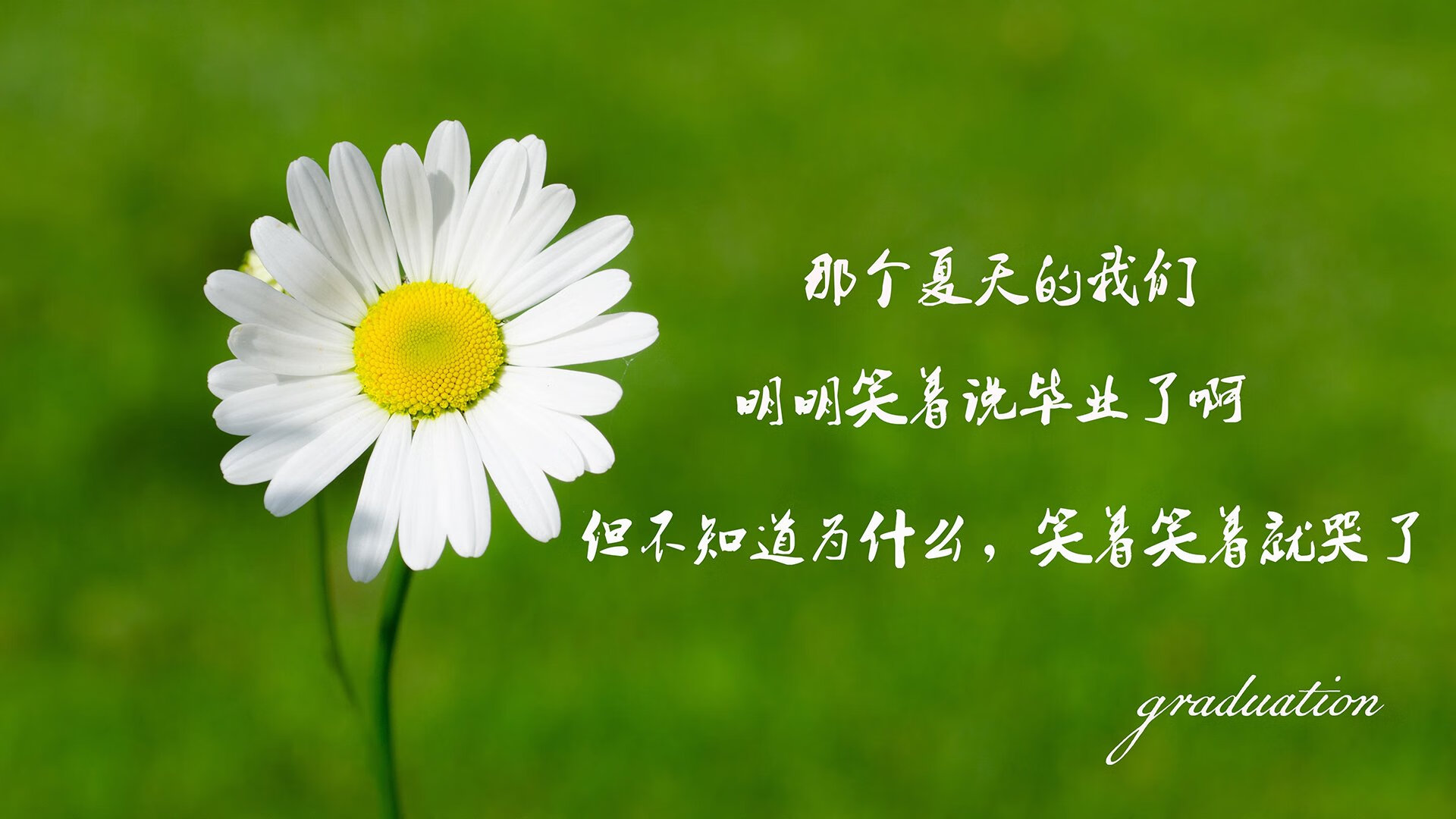 爱游戏体育app-赛场心理素质好，抗压能力强，你心理素质抗压能力表情包