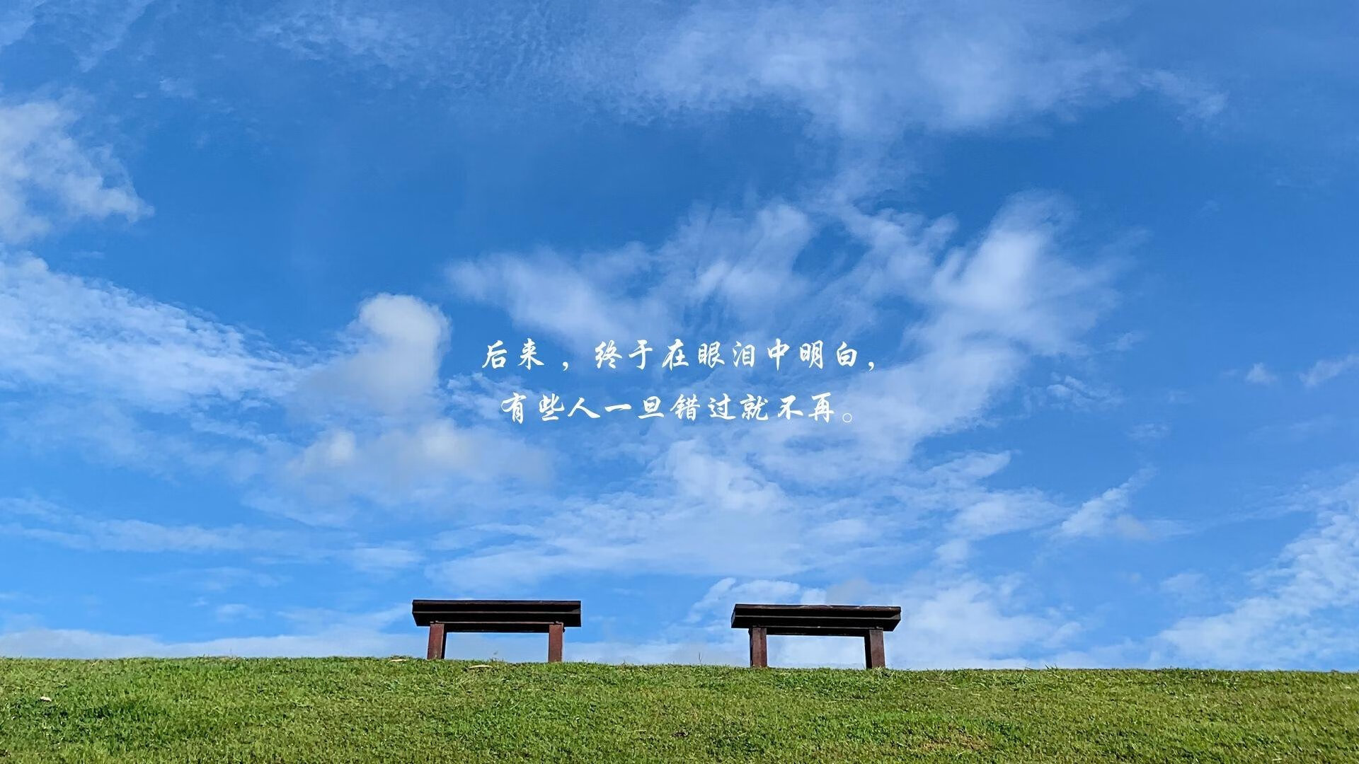 长距离自由泳成绩刷新赛季纪录,长距离自由泳提速技巧