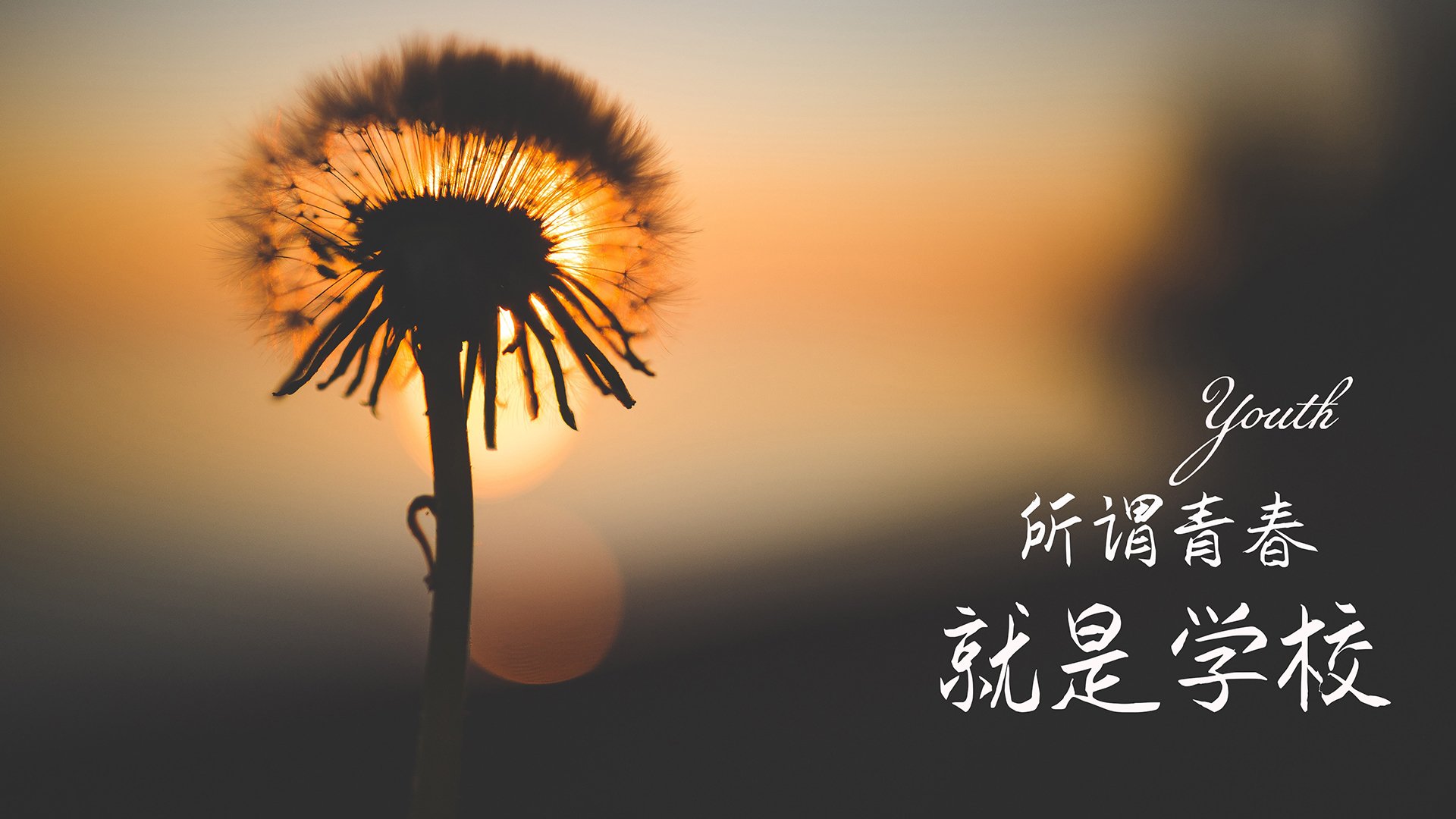 德甲青训培训体系创新,德甲青训政策
