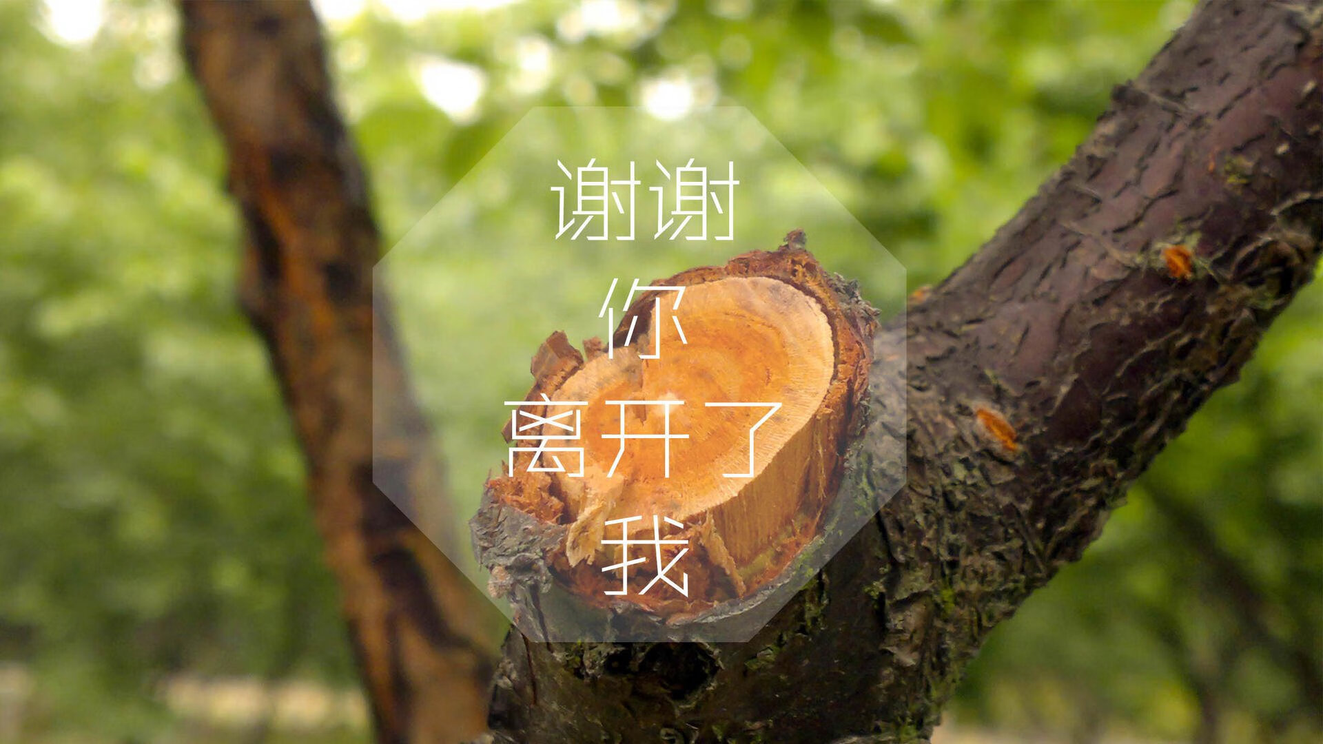 AIYOUXI.COM-谷爱凌强势闯入决赛自由式滑雪赛场，谷爱凌滑雪个人资料